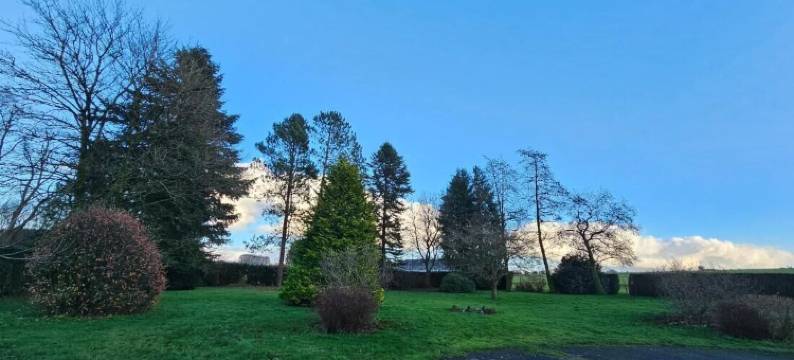 德米格尔别墅享受与家人或朋友的愉快时光(Villa De Miguel enjoy a pleasant moment with family or friends)图片