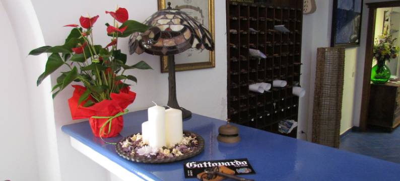 戈多帕多公园酒店(Gattopardo Park Hotel)图片