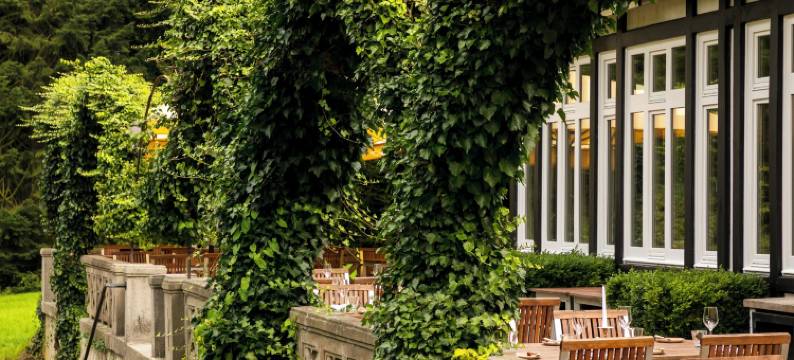 瓦尔德斯鲁赫湖畔酒店(Hotel Waldesruh am See)图片