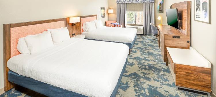 希尔顿欢朋套房酒店-圣奥古斯丁维拉诺海滩(Hampton Inn & Suites St. Augustine-Vilano Beach)图片