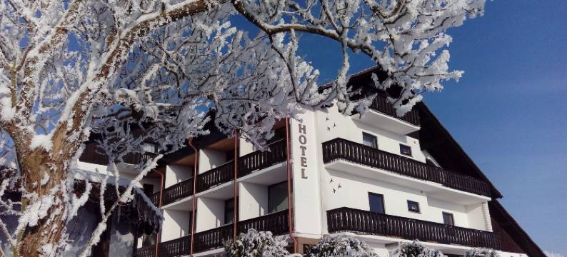 钢尼酒店和度假公寓Seeschlößchen(Garni Hotel & Ferienwohnungen Seeschlößchen)图片