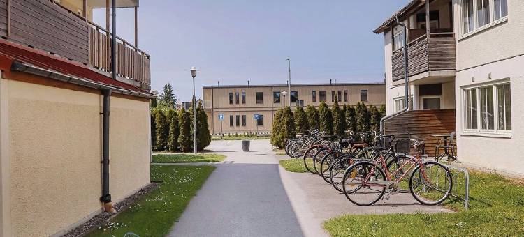 哥特兰斯泰志愿者(GotlandStay Volontären)图片