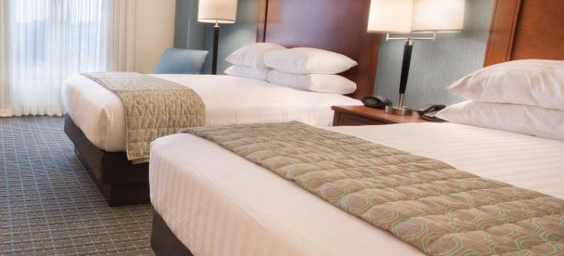 Drury Plaza 酒店圣路易斯布伦特伍德(Drury Plaza Hotel St Louis Brentwood)图片