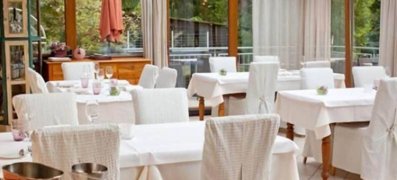 尼德穆尔兰德餐厅酒店(Restaurant Niedmühle Land & Genuss Hotel)图片