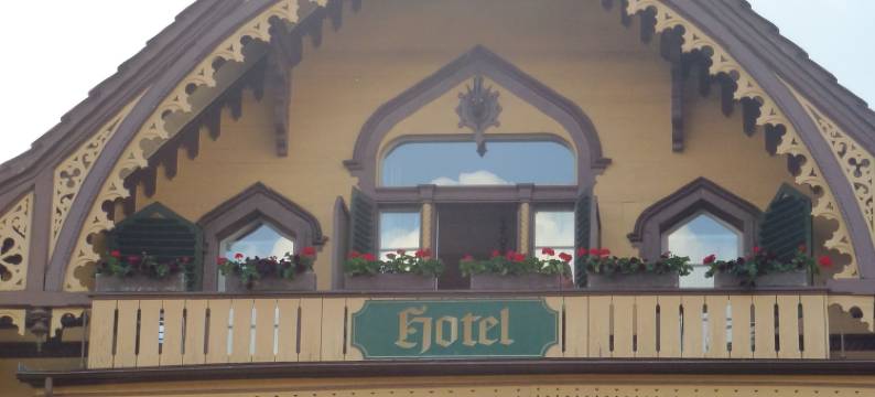 波斯特哈德曼尼酒店(Post Hardermannli)图片