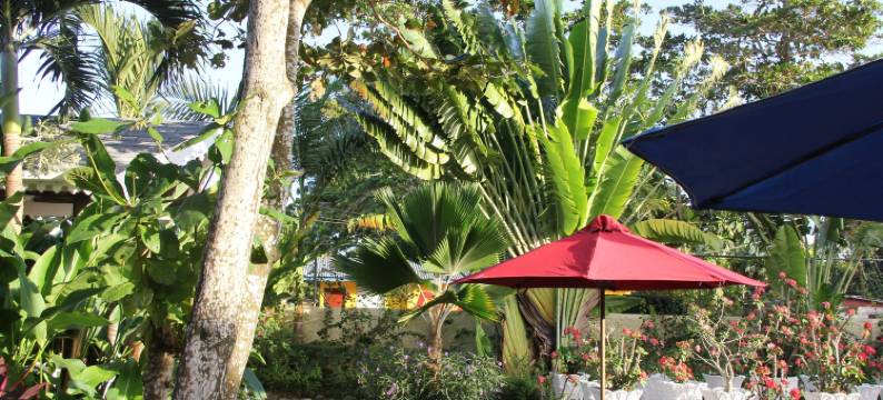 棕榈度假村(Negril Palms)图片