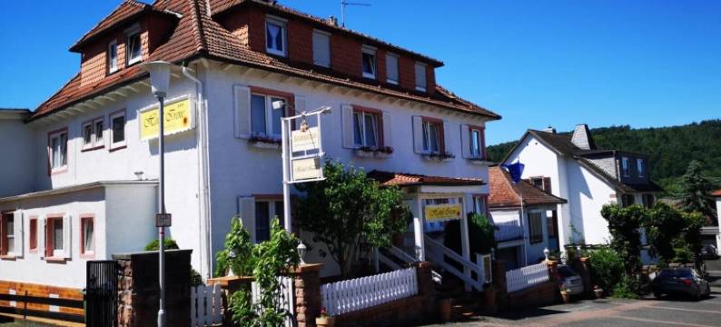 艾琳酒店(Hotel Irene)图片