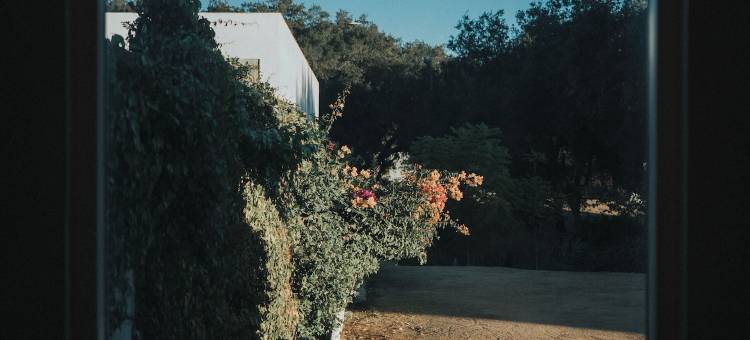 卡萨扎莫拉(Casa Zamora)图片