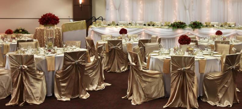 温尼伯南部福朋喜来登酒店(Four Points by Sheraton Winnipeg South)图片