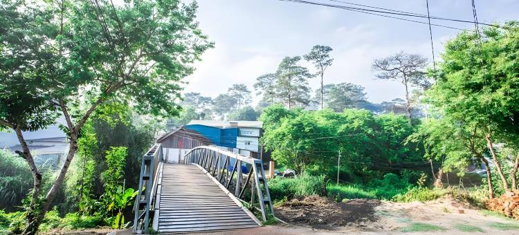 大叻巧克力家庭旅馆(Dalat Chocolate Homestay)图片