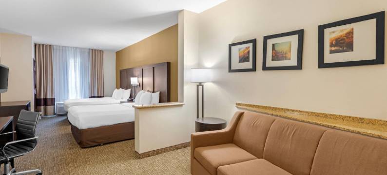 安大略机场会议中心舒适套房酒店(Comfort Suites Ontario Airport Convention Center)图片