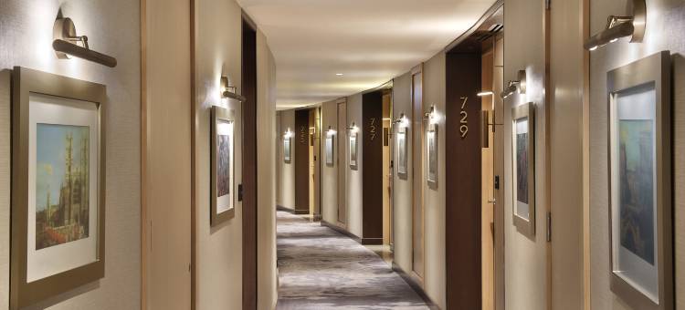 安曼希尔顿尚御酒店(Signia by Hilton Amman)图片