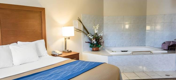 凯艺酒店(Quality Inn)图片