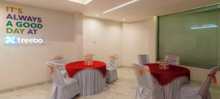 Treebo 拉杰宫(Treebo Raj Palace)图片