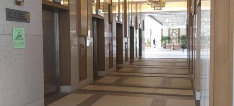 塞莱丹的萨米摇篮(Sami's Cradle at The Celandine)图片