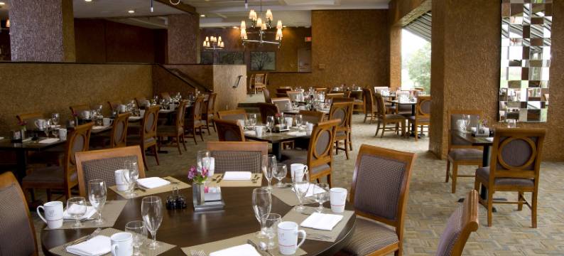 圣路易斯西港逸林酒店(DoubleTree by Hilton Hotel St. Louis - Westport)图片