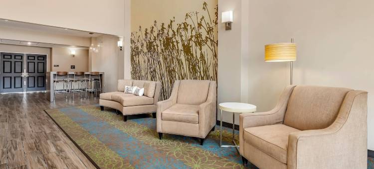 舒眠旅馆及套房威斯康星拉皮兹(Sleep Inn & Suites)图片