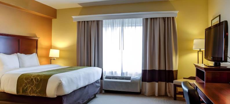 北奥卡拉舒适套房酒店(Comfort Suites Ocala North)图片