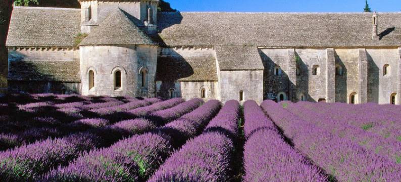 Villa in Provence with Infinity Pool图片