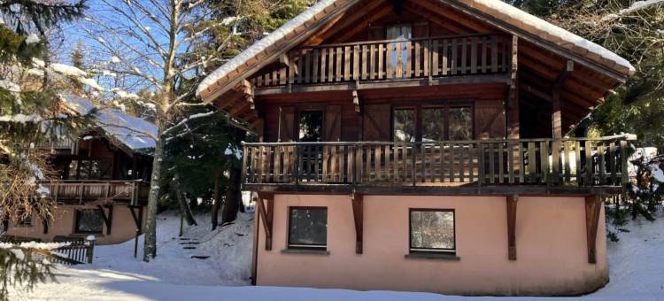 Chalet in La Bresse near Ski Resort图片