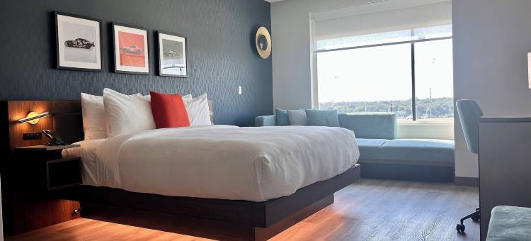 坎布里亚酒店北湖会议中心 - 罗阿诺克(Cambria Hotel Northlake Conference Center - Roanoke)图片