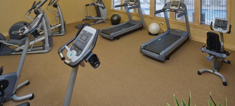 纽布朗费尔斯世誉酒店(WorldMark New Braunfels)图片