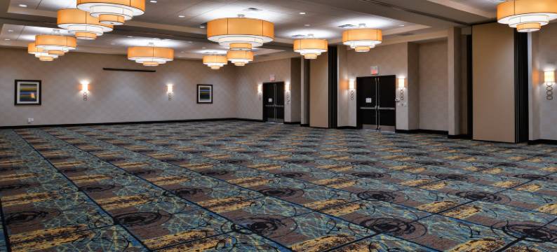 Holiday Inn & Suites 埃德蒙顿国际机场(Holiday Inn & Suites EDMONTON ARPT - CONFERENCE CTR by IHG)图片