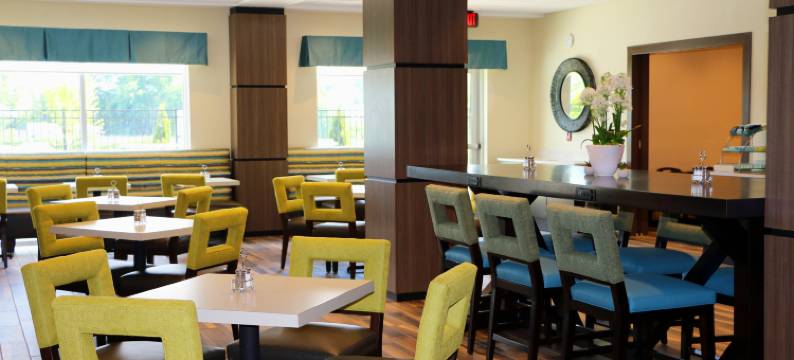 亨德森维尔东南 - 弗拉特罗克洲际智选假日套房酒店(Holiday Inn Express & Suites HENDERSONVILLE SE - FLAT ROCK by IHG)图片