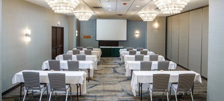 阿普尔顿希尔顿逸林酒店(DoubleTree by Hilton Appleton)图片