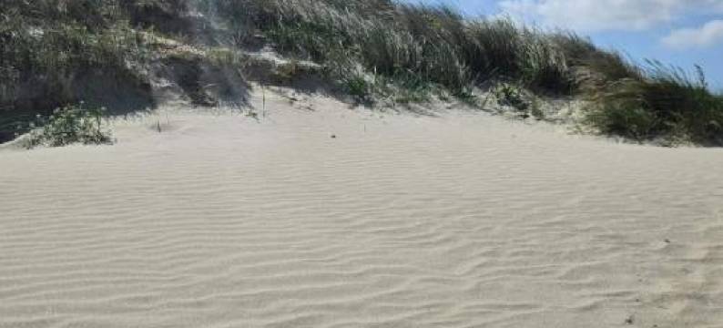 Luxury Retreat Near Beach - by Traum Ferienwohnungen图片