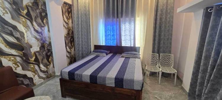 阿拉夫宫酒店(Hotel Aarav Palace)图片