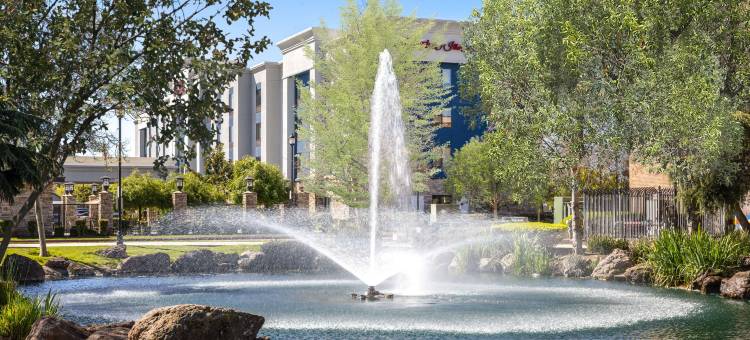 曼特卡欢朋套房酒店(Hampton Inn & Suites Manteca)图片