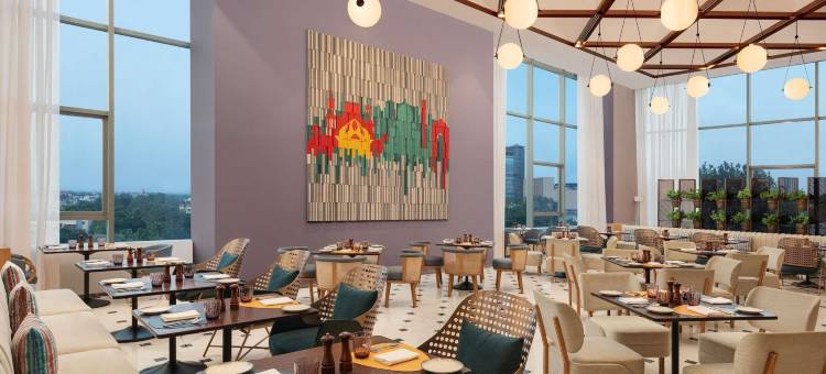 新德里市中心诺富特酒店(Novotel New Delhi City Centre)图片