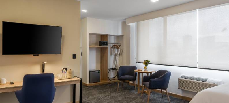 特拉萨贝斯特韦斯特优质酒店(Best Western Plus Hotel Terraza)图片