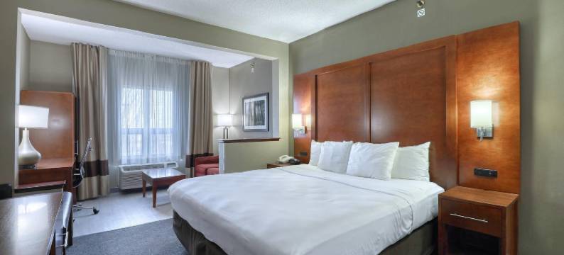 麦迪逊舒适套房酒店(Comfort Suites Madison West)图片