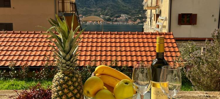 拉扎雷维奇公寓酒店(Apartments Lazarević)图片