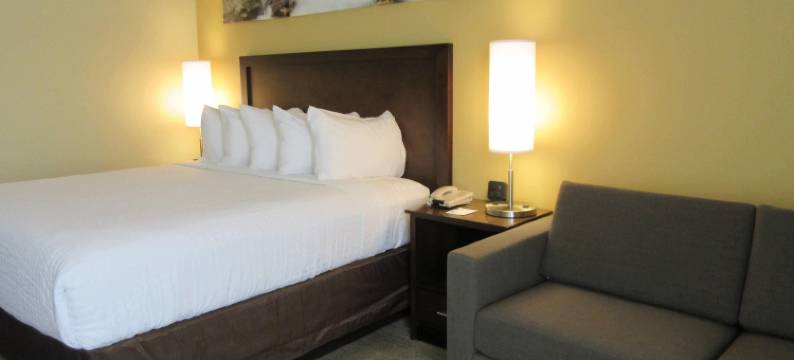 切罗基凯隆波因特酒店(Clarion Point Cherokee)图片