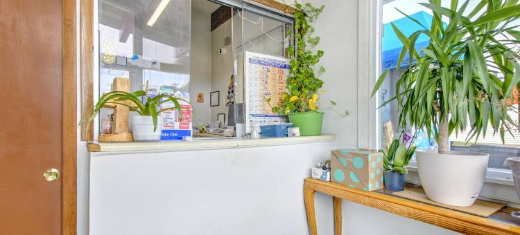 OYO 棕榈叶汽车旅馆(OYO Palm Leaf Motel)图片
