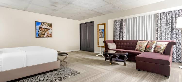 新奥尔良市中心仓库区坎布里亚酒店(Cambria Hotel New Orleans Downtown Warehouse District)图片