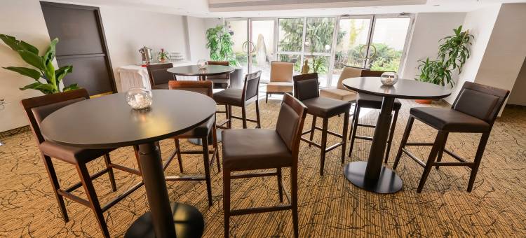 蒙特利尔中心城商业区假日酒店(Holiday Inn MONTREAL CENTREVILLE DOWNTOWN by IHG)图片