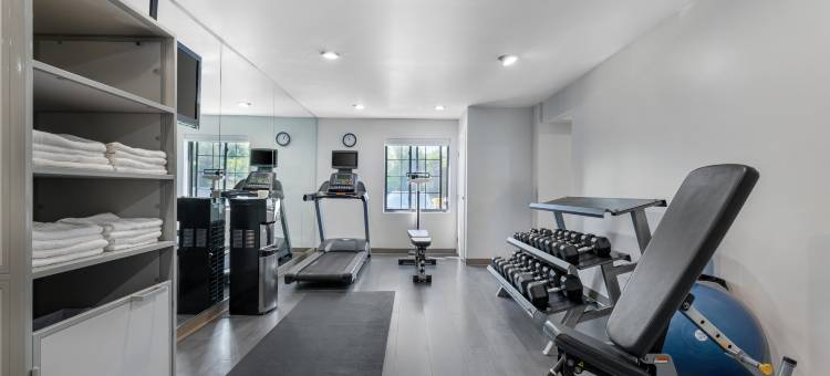 斯特劳兹堡Staybridge Suites酒店(东)波科诺山洲际旗下(Staybridge Suites STROUDSBURG (EAST) POCONOS by IHG)图片