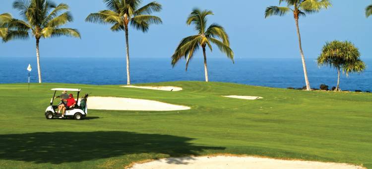 毛纳洛亚霍鲁亚度假村(Shell Vacations Club Holua Resort at the Mauna Loa Village)图片