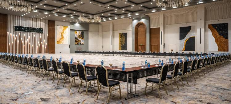 丽笙蓝标酒店及会议中心, 亚历山大(Radisson Blu Hotel & Convention Center, Alexandria)图片