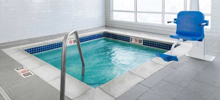 底特律阿伦派克TownePlace Suites酒店(TownePlace Suites by Marriott Detroit Allen Park)图片