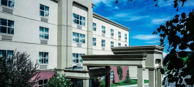 埃德蒙顿国际机场希尔顿欢朋套房酒店(Hampton Inn & Suites by Hilton Edmonton International Airport)图片