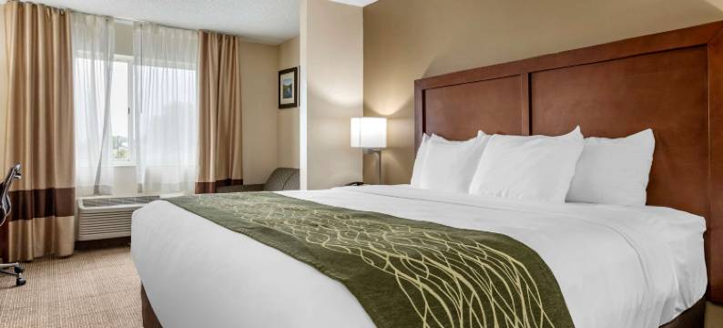 迪蒙代尔舒适套房酒店(Comfort Inn & Suites Dimondale - Lansing)图片