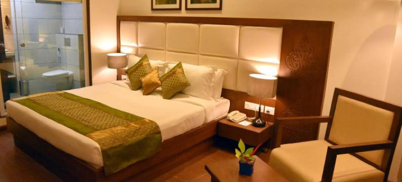 多尼尔舒适酒店(Comfort Inn Donil Vadodara)图片