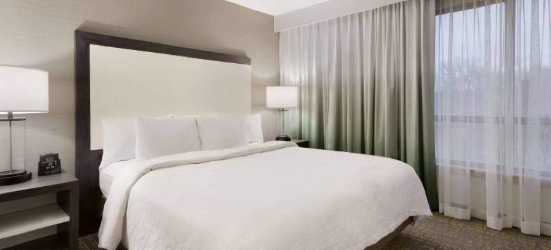 纽华克威尔明顿南希尔顿旗下大使套房酒店(Embassy Suites by Hilton Newark Wilmington South)图片