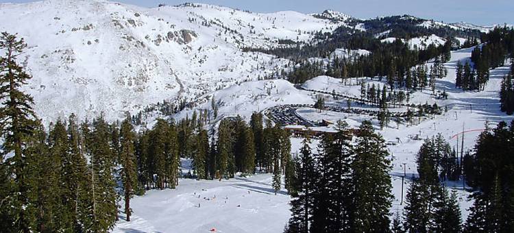 纽瓦克硅谷万怡酒店(Courtyard Newark Silicon Valley)图片