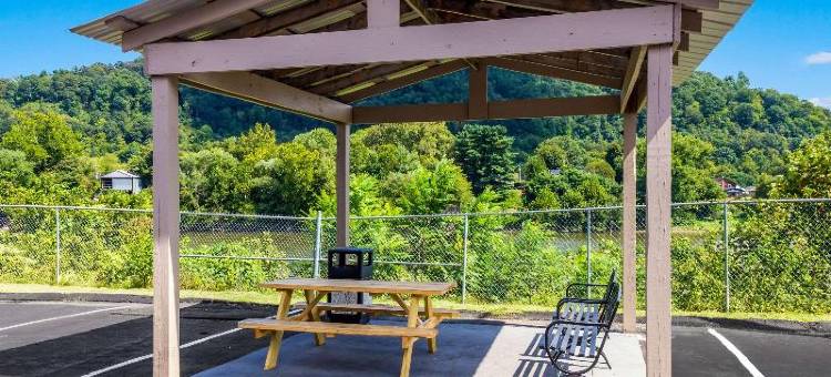 舒适酒店(Comfort Inn)图片